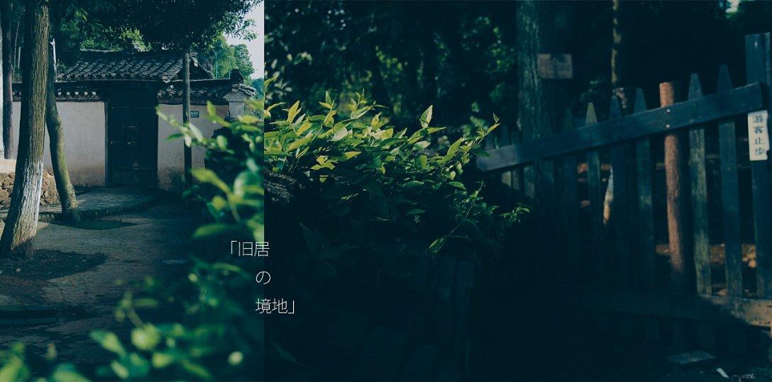 这是毛囊炎吗?-专业有问必答平台